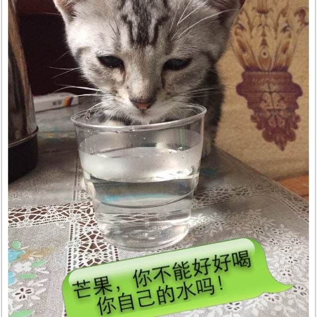 哪里可以制作日本九州齒科大學成绩单